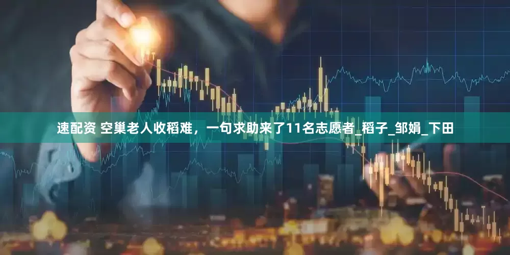 速配资 空巢老人收稻难，一句求助来了11名志愿者_稻子_邹娟_下田
