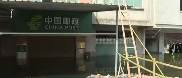 东南配资 他们在洪水中，搭起去买菜的桥