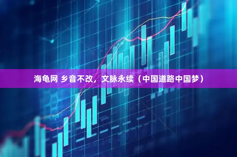 海龟网 乡音不改，文脉永续（中国道路中国梦）